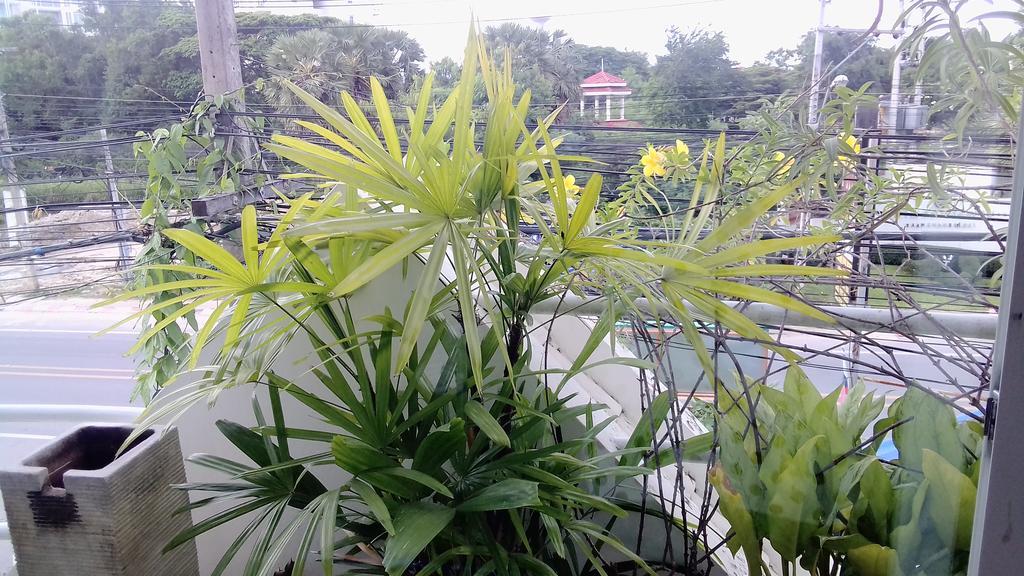 Corner Cafe Bed & Breakfast Hua Hin Bagian luar foto