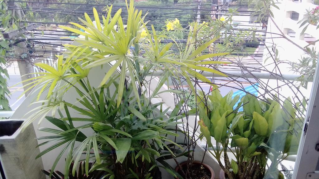 Corner Cafe Bed & Breakfast Hua Hin Bagian luar foto